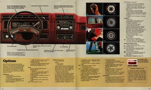 1980 Ford Pickup (Rev)-18-19.jpg